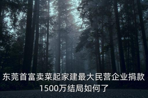 東莞首富賣菜起家建最大民營企業捐款1500萬結局如何了