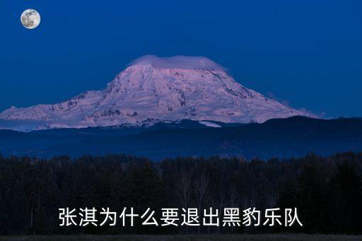 楊嘉松,曾與竇唯相提并論張淇陷入情感誤區