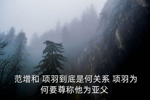 項羽范增,鴻門宴力勸項羽鏟除劉邦范增:我是項羽的密使