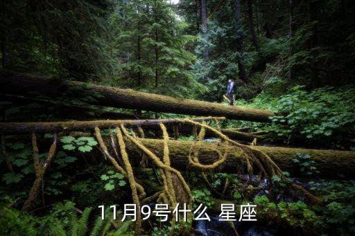 11月9號(hào)什么 星座