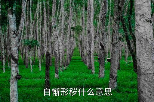  自慚形穢什么意思