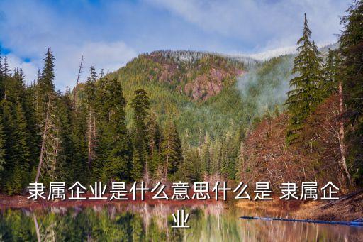  隸屬企業是什么意思什么是 隸屬企業