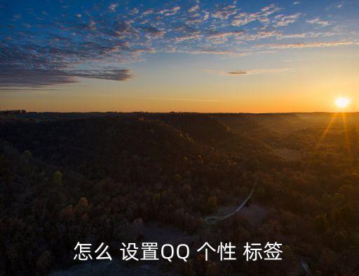 怎么 設(shè)置QQ 個(gè)性 標(biāo)簽