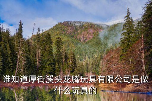 誰知道厚街溪頭龍騰玩具有限公司是做什么玩具的