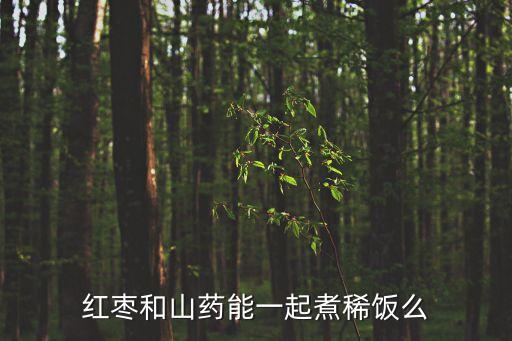 紅棗山藥粥，紅棗和山藥能一起煮稀飯么