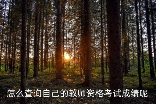 教資筆試成績，教資什么時候查分