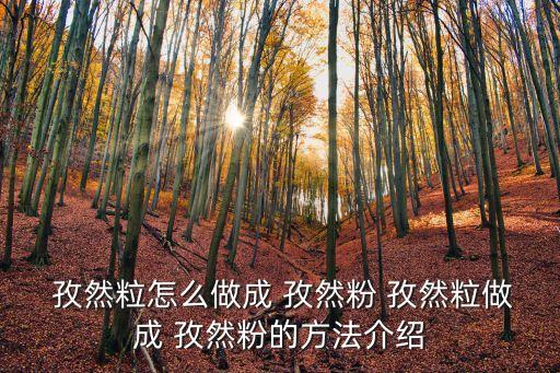  孜然粒怎么做成 孜然粉 孜然粒做成 孜然粉的方法介紹