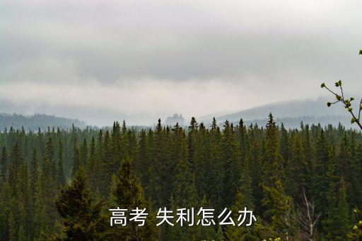  高考 失利怎么辦