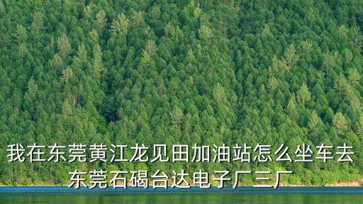 我在東莞黃江龍見田加油站怎么坐車去東莞石碣臺達(dá)電子廠三廠