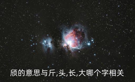 秀頎的拼音,第二集:美而高