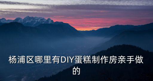 楊浦區哪里有DIY蛋糕制作房親手做的