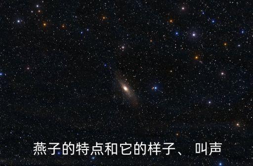 燕子的叫聲,燕子de叫聲有哪些?