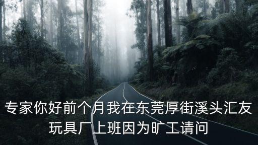 東莞厚街鎮(zhèn)溪頭玩具廠，誰知道厚街溪頭龍騰玩具有限公司是做什么玩具的
