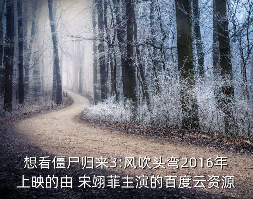 想看僵尸歸來3:風吹頭彎2016年上映的由 宋翊菲主演的百度云資源