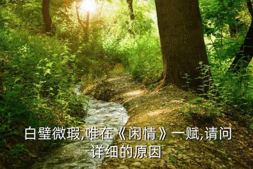 白璧微瑕,白璧微瑕，只在一首題為閑適詩中成語
