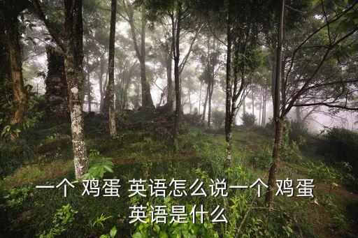 一個(gè) 雞蛋 英語(yǔ)怎么說(shuō)一個(gè) 雞蛋 英語(yǔ)是什么