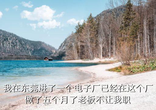 東莞和緯電了，我在東莞進(jìn)了一個電子廠已經(jīng)在這個廠做了五個月了老板不讓我職