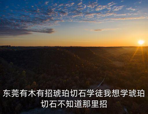 東莞有木有招琥珀切石學(xué)徒我想學(xué)琥珀切石不知道那里招