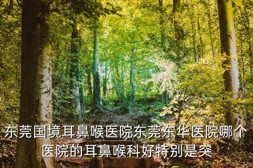東莞國境鼻科醫(yī)院位置，東莞國境口岸醫(yī)院地點