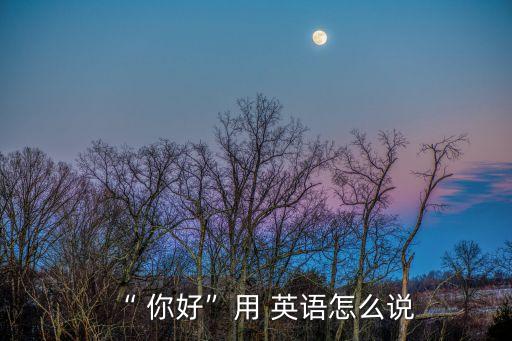 “ 你好”用 英語怎么說