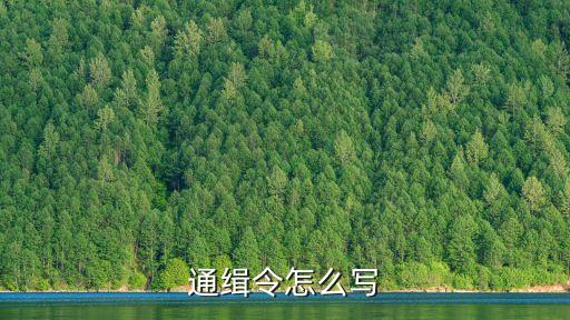 通緝令模板，通緝令怎么寫