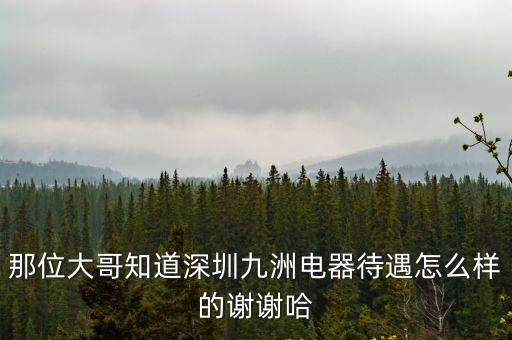 東莞九州電器工資，那位大哥知道深圳九洲電器待遇怎么樣的謝謝哈