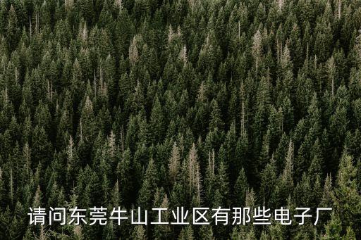 請問東莞牛山工業區有那些電子廠
