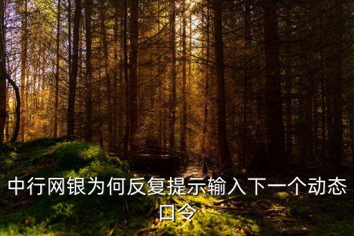 中行網銀為何反復提示輸入下一個動態口令