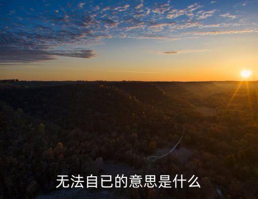 無(wú)法自已，無(wú)法自已是什么意思