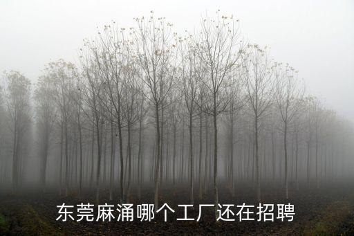 東莞麻涌哪個工廠還在招聘