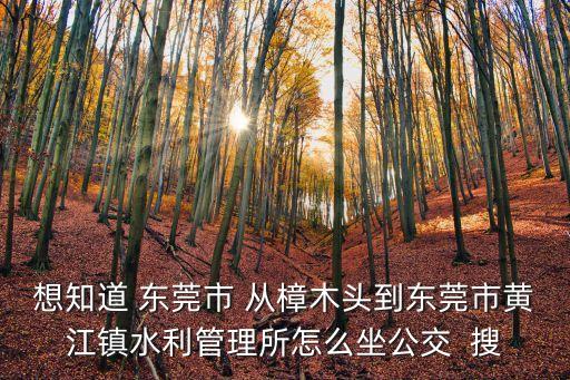 東莞有水利局嗎，東莞長安鎮錦廈水電局在哪里