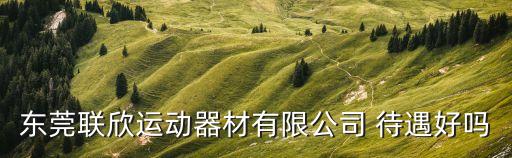 東莞聯(lián)欣運動器材有限公司郵編，東莞聯(lián)欣運動器材有限公司 待遇好嗎