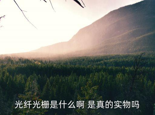 光柵光纖，光纖光柵是什么啊 是真的實(shí)物嗎