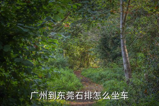 廣州到東莞石排怎么坐車