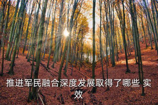 推進軍民融合深度發展取得了哪些 實效