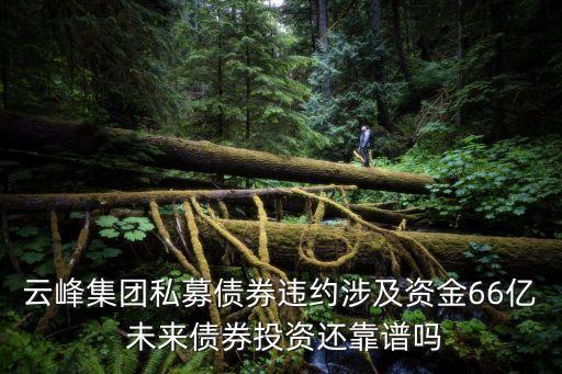 云峰集團私募債券違約涉及資金66億 未來債券投資還靠譜嗎