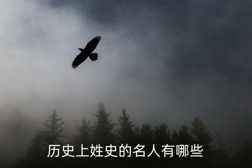 史姓,中國姓氏名錄:史姓占全國人口0.45%