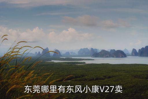東莞哪里有東風(fēng)小康V27賣