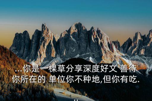 善待你所在的單位,請善待你在哪里單位