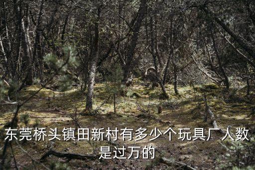 東莞橋頭鎮(zhèn)田新村有多少個玩具廠人數(shù)是過萬的