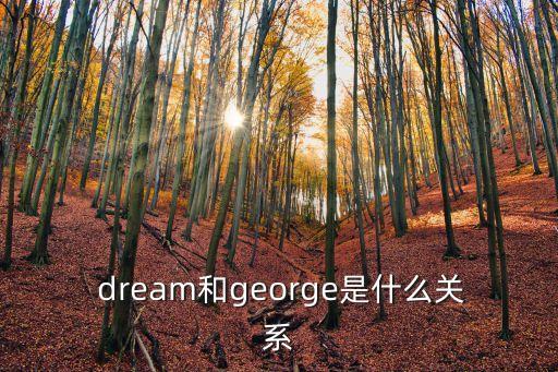 dream,因為dreams是復數(shù)所以名字含義更深