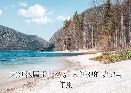  大紅袍屬于什么茶 大紅袍的功效與作用