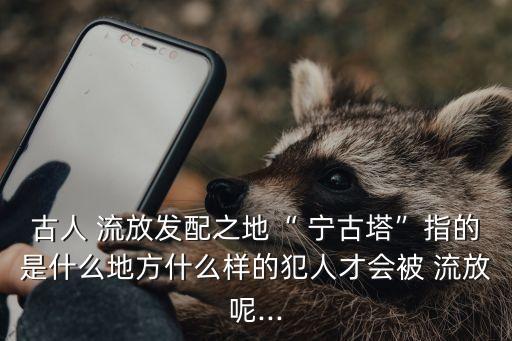 古人 流放發(fā)配之地“ 寧古塔”指的是什么地方什么樣的犯人才會被 流放呢...