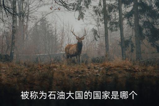 石油大國是哪個國家，被稱為石油大國的國家是哪個