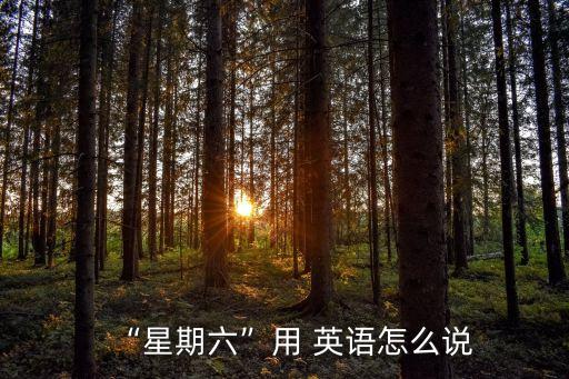 “星期六”用 英語怎么說