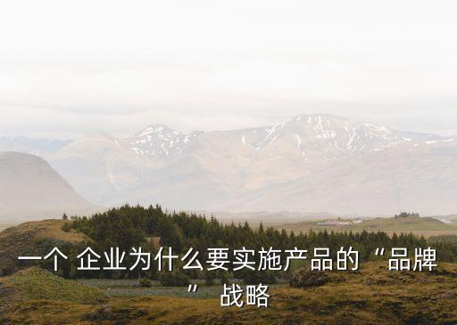 一個 企業(yè)為什么要實施產(chǎn)品的“品牌” 戰(zhàn)略