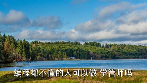 編程都不懂的人可以做 學(xué)管師嗎