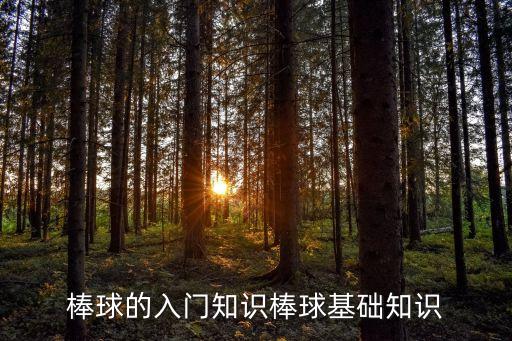 滑壘,棒球基本技術(shù):接球和投球一樣要做好準(zhǔn)備