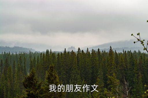 我的朋友作文