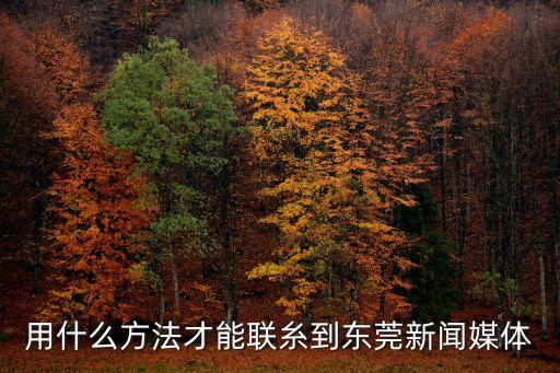 東莞陽光熱如何找，用什么方法才能聯糸到東莞新聞媒體